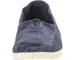 Natural World Old Bonsai